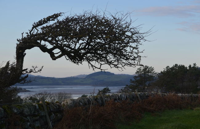 Clouded Yellow - Beautiful Modern Lodge, Kippford - Photo 27