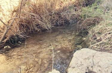 Maison de campagne dans un domaine viticole - Photo 22