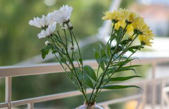 Kalamata Downtown Cuties - Foto 25