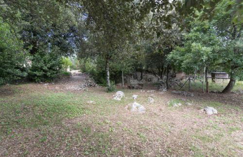 Le Mas pierre et soie - Photo 48