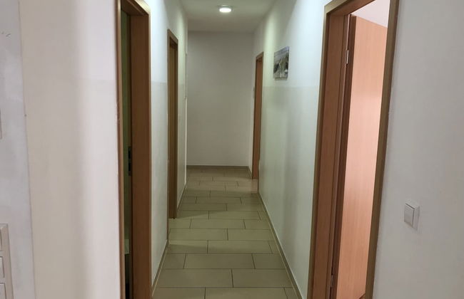 Sahara Falcon - Foto 66