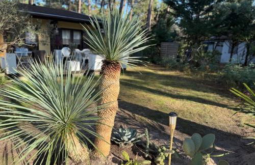 Euronat naturist studio - Foto 11