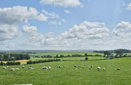Wee Shepherds Hut Maybole - Foto 19