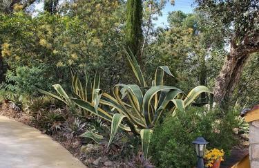 Mas Mundo - 4 Ferienhäuser in Calonge / Girona - Foto 51