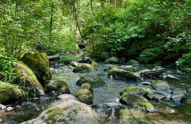 Creekside family house w yoga deck - Foto 70