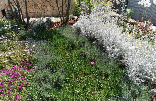 Kuća za odmor Maruška - Foto 22