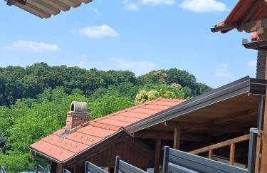 Kuća za odmor Vila Valentina - Foto 11