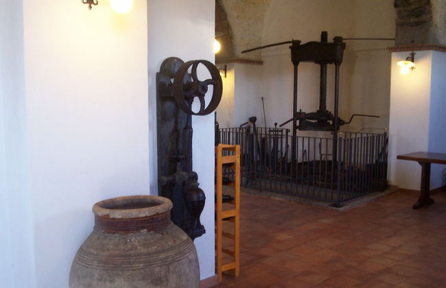 Etna Wine Agriturismo - Foto 31