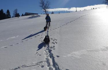 Domek na Obidzy - Foto 23