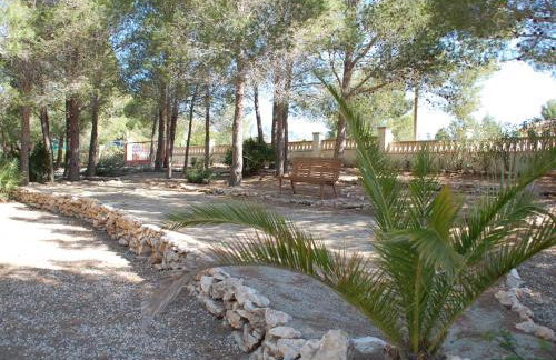 34 Sant Jordi - Foto 28