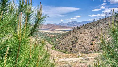 Camp David - Photo 5