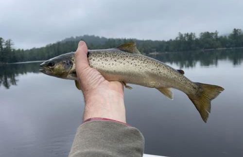 Toms Cabin On Lake Christopher - Foto 49