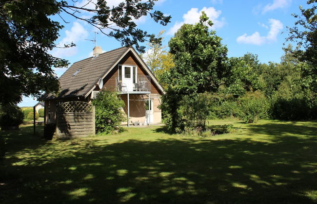 "Bendine" - 100m to the fjord - Foto 35