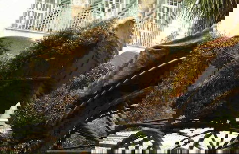 Agriturismo Mustilli - Foto 53