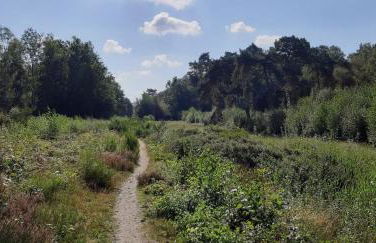 Ferienwohnung Becker - Foto 19