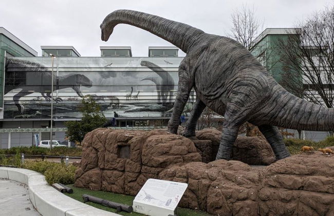 Explore the City of Fukui and Eiheiji Temple - Full-Day Tour - Photo 4