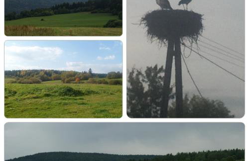 Waszczyszynówka Bieszczady - Foto 28