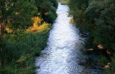 La Casirria - Foto 21