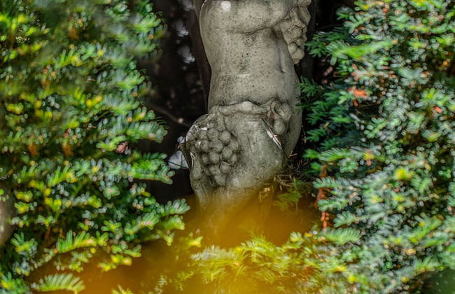 The Corinda Collection - Foto 61