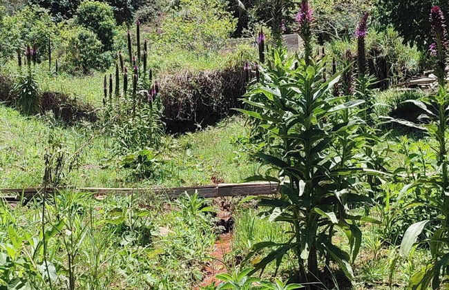 Hospedagem Casa Do Chapéu Caparaó - Cabana Lua - Photo 35