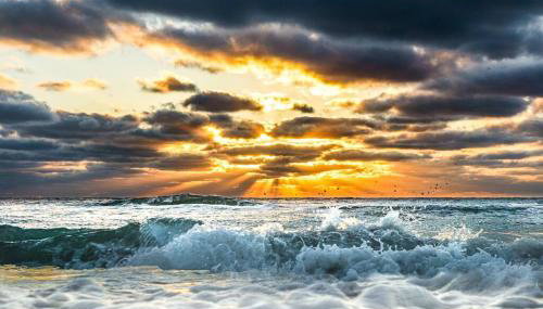 Sparkling Oasis near Downtown ST Pete/Beach - Foto 4