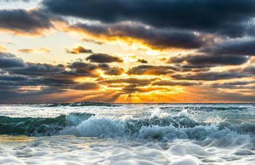 Sparkling Oasis near Downtown ST Pete/Beach - Foto 4