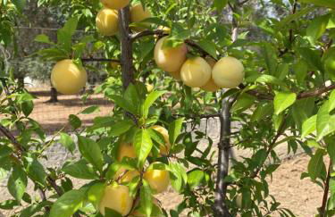 VILLA VITA - Foto 49