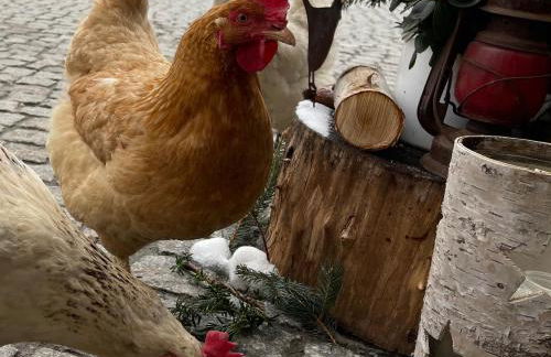 FarmHouse Eckartsberg im Zittauer Gebirge - Gemütliche und moderne Ferienwohnungen mit Terrasse - Foto 34