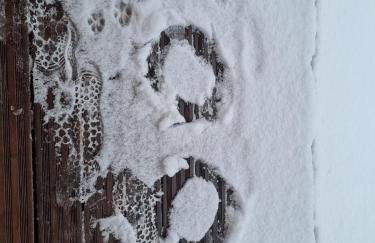 Insolite Chalet de pêche Sérénité - Bien Etre - Foto 6