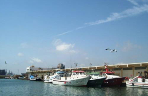 Beach apartment - Photo 22