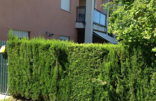 Divi Apartments Costa Ballena - Photo 18