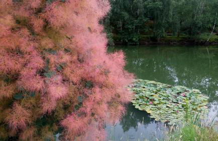 Le gîte et l'étang de pêche - Foto 26
