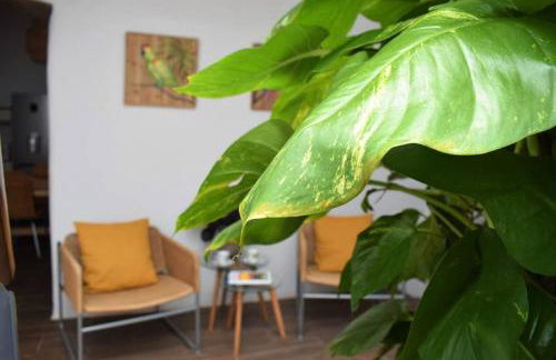 La Casa Vieja - Foto 15