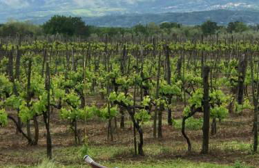 Agriturismo San Jacopo - Foto 56