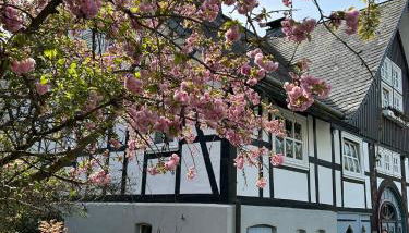 Fachwerkliebe Ornes 1 - Foto 2