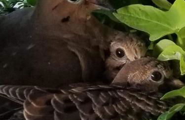 Private, Quite Casita , N. Scottsdale area,Private Pool & Patio, Cave Creek Az. - Photo 60