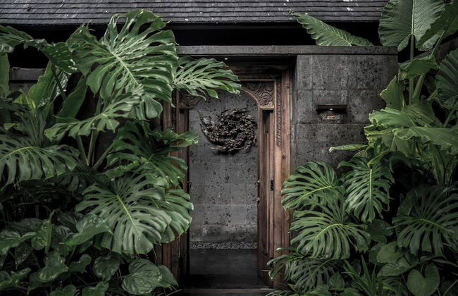 Janjisurga by Ekosistem - Photo 2