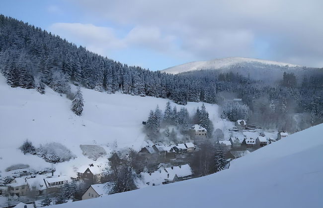 Enchanting Holiday Flat in the Harz Mountains - Foto 21