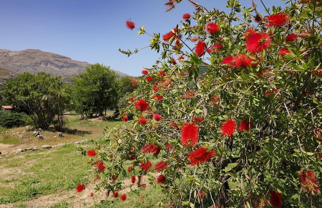 Panakron the Dream Place In Amari Village - Foto 17