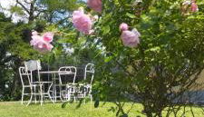 Pietra Corva - Monticello Apartments - Foto 3, Garden view