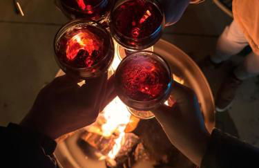 Longra Family Villa & SPA - Foto 16