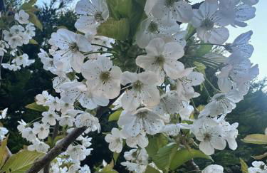 Troon Centre Seaside Retreat -Apt close to Beach Golf and Surf - Foto 40