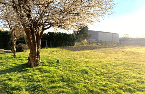 Studio confortable, parking et jardin - Photo 4