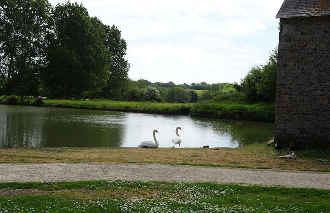 Country House on a Beautiful Medieval Estate - Foto 72
