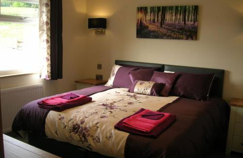 Woodland Lodge Hot Tub Sleeps 6 - Photo 18