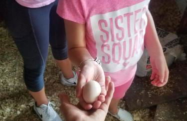 Beautiful Vacation Home Across From Lake Okeechobee - Foto 83