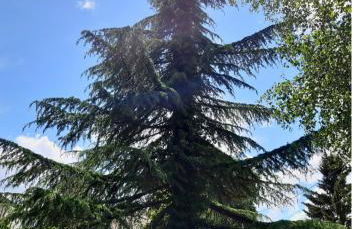 2 Soundproof Fully Equipped Studios near Geneva Airport - Photo 14