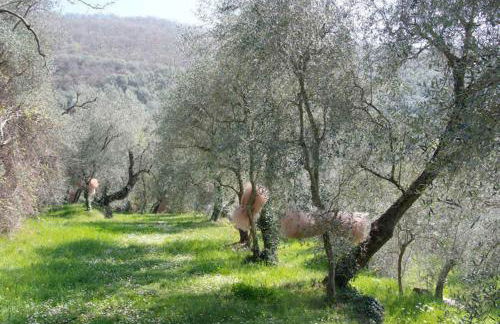 Ferienhaus in Vasia Imperia für bis zu 4 Personen - Foto 6