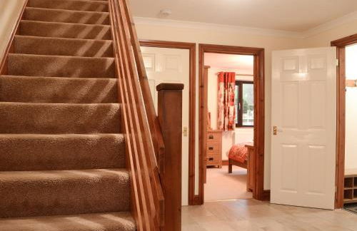 Hoot House - Foto 24