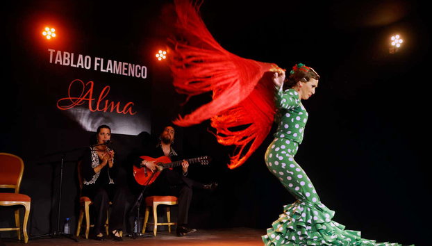 Alma Tablao Flamenco Show - Photo 3, Feel the passion of dance